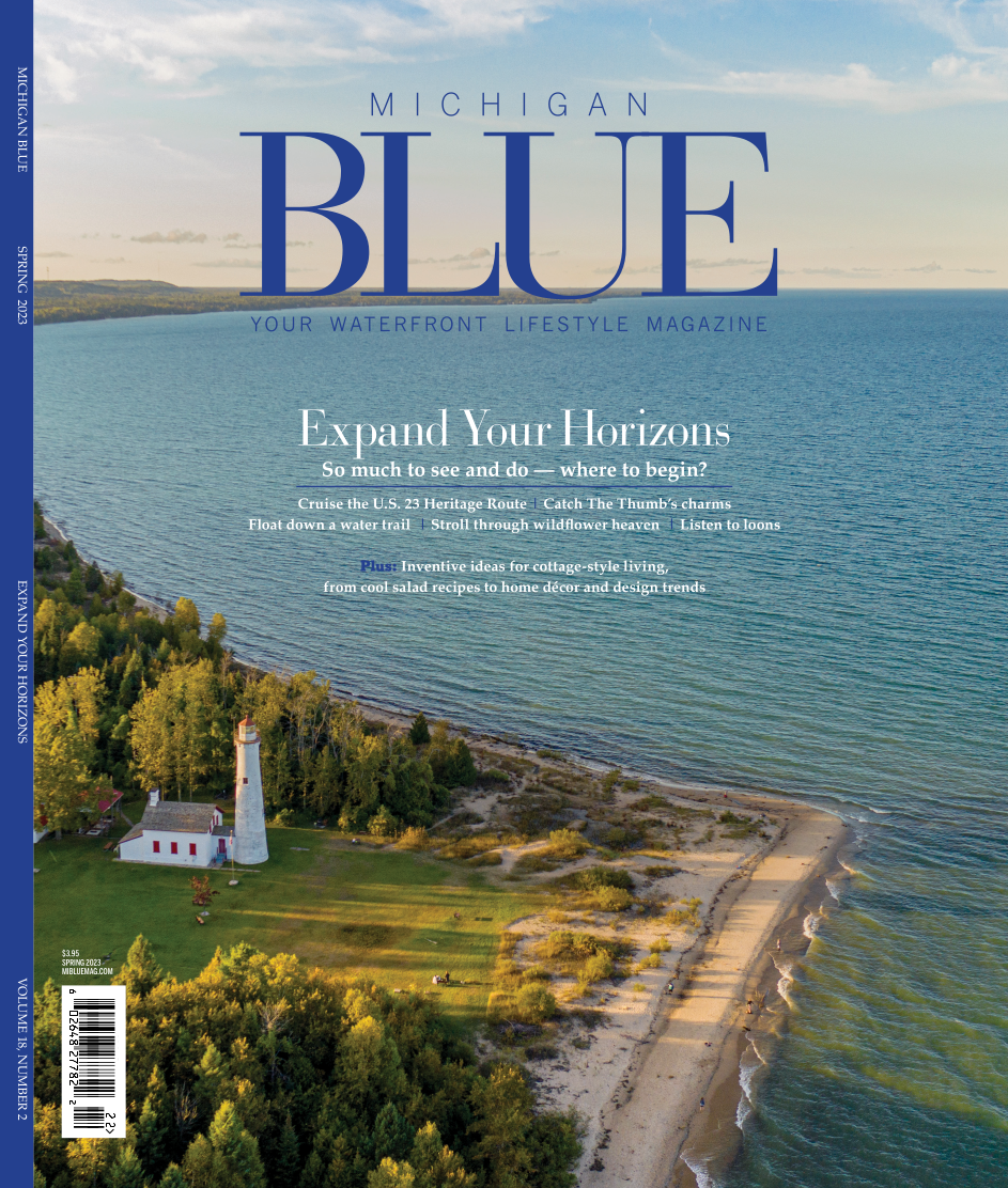 Michigan BLUE Magazine