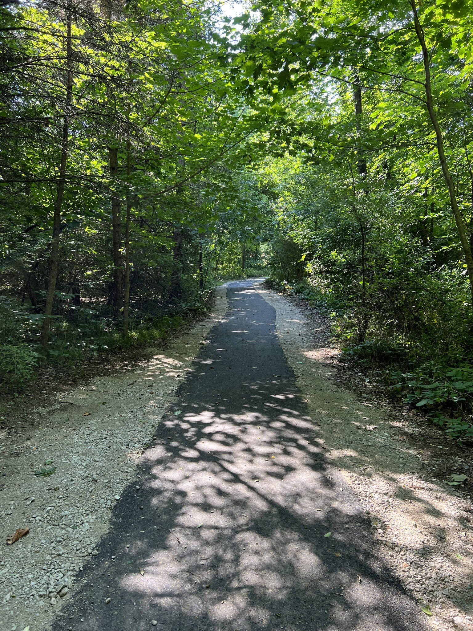 Harris Nature Center 1-path (1)