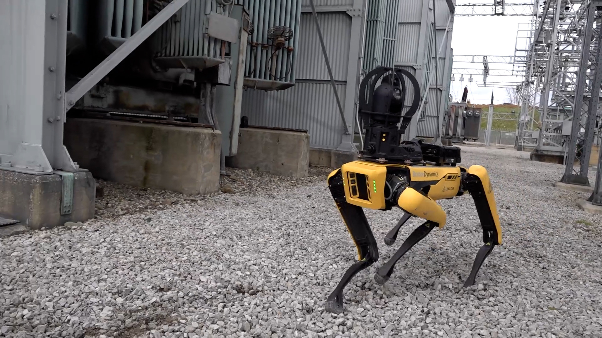 Spot Robotic Dog