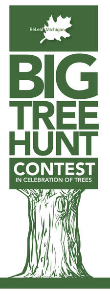 bigtree-hunt-brochure-final-cover_2 (1)-1