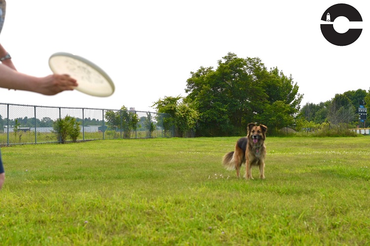 charlevoixdogpark