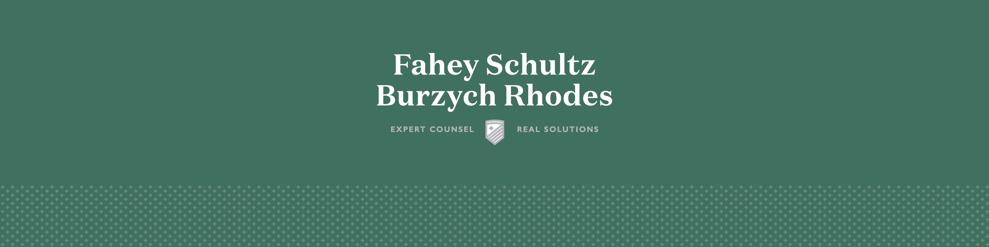 fahey_schultz_burzych_rhodes_plc_cover