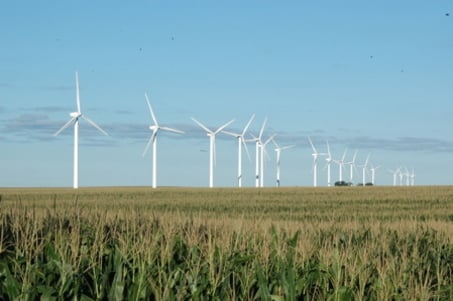 large_Wind-farm