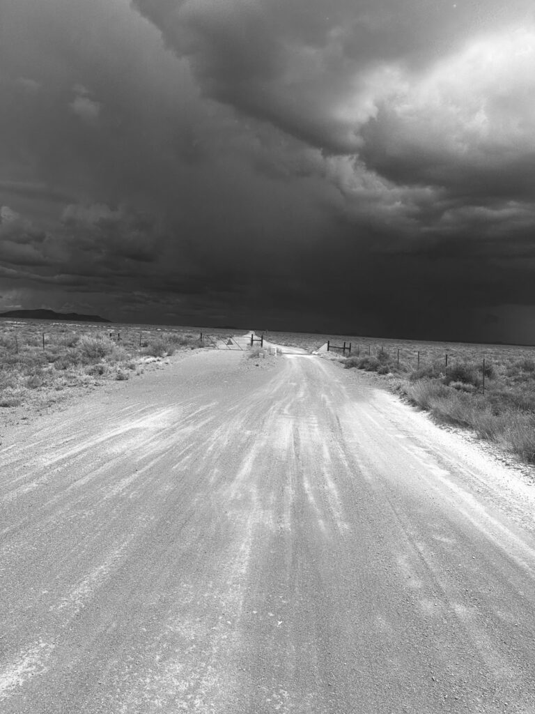 Michigan Business Network: 02_Simon_Dyson