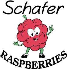 Schafer Raspberries