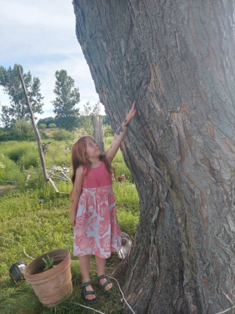 bigtreeehuntpressreleasejuly4