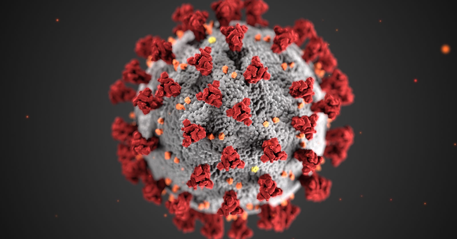 covid19-1600x900 Cropped