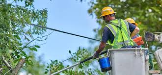 Michigan Business Network: Consumers Energy linemen