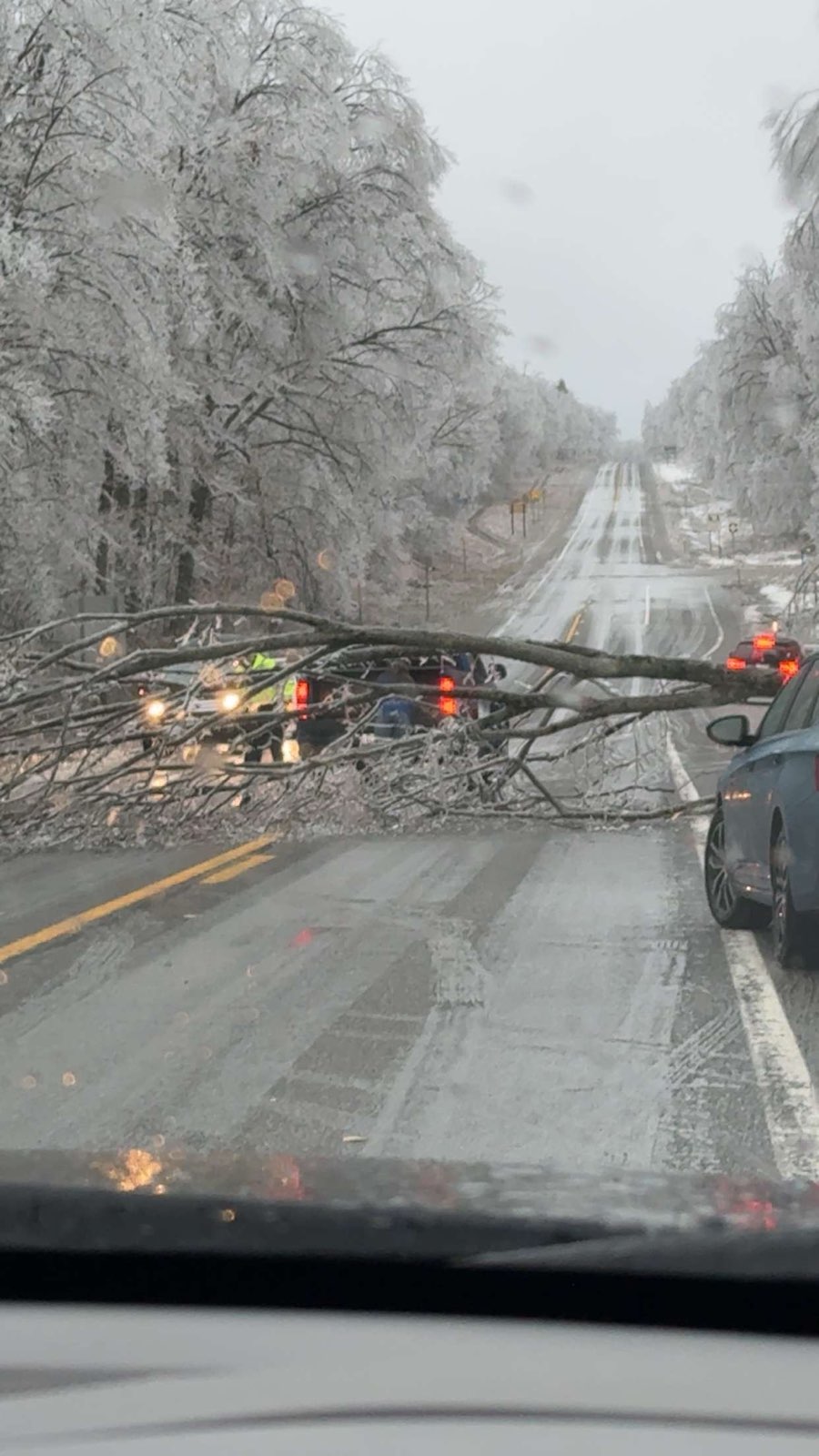 MBN: Cinnaire Ice Storm 1