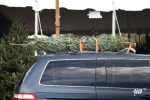 MBN: AAA Christmas Tree