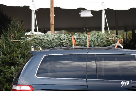 MBN: AAA Christmas Tree